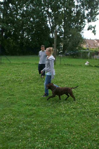 obeissance 2014-08-02